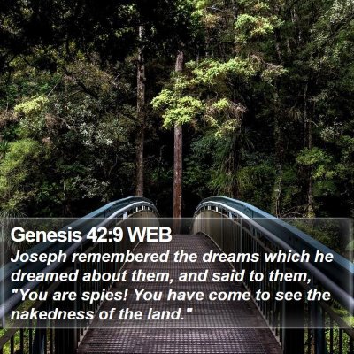 Genesis 42:9 WEB Bible Verse Image