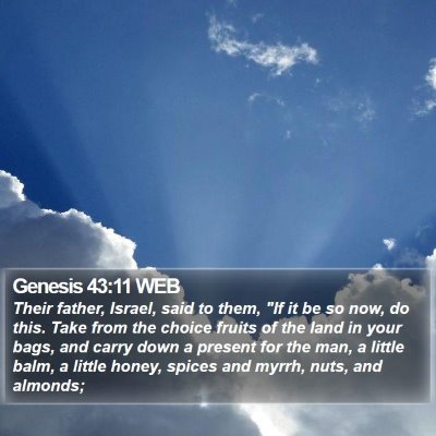 Genesis 43:11 WEB Bible Verse Image