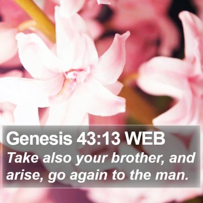 Genesis 43:13 WEB Bible Verse Image
