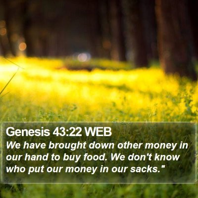 Genesis 43:22 WEB Bible Verse Image
