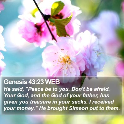 Genesis 43:23 WEB Bible Verse Image