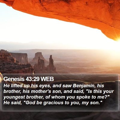 Genesis 43:29 WEB Bible Verse Image