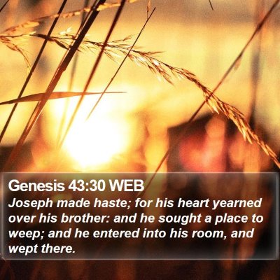 Genesis 43:30 WEB Bible Verse Image