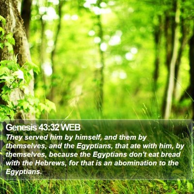 Genesis 43:32 WEB Bible Verse Image