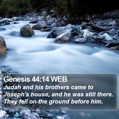 Genesis 44:14 WEB Bible Verse Image