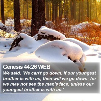 Genesis 44:26 WEB Bible Verse Image