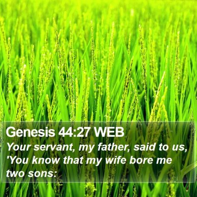 Genesis 44:27 WEB Bible Verse Image