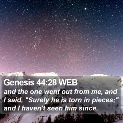 Genesis 44:28 WEB Bible Verse Image