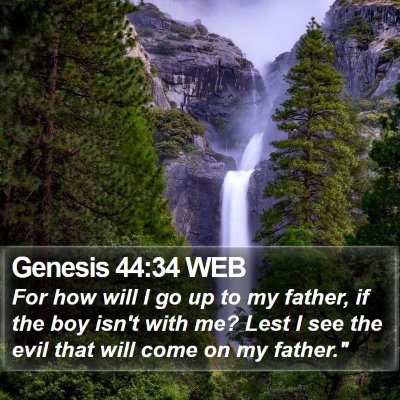 Genesis 44:34 WEB Bible Verse Image