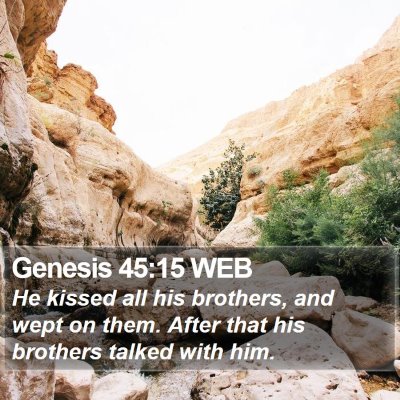 Genesis 45:15 WEB Bible Verse Image
