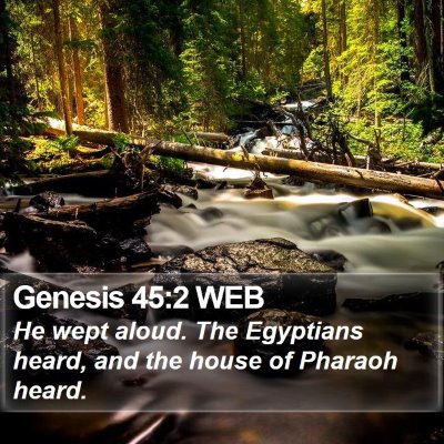 Genesis 45:2 WEB Bible Verse Image