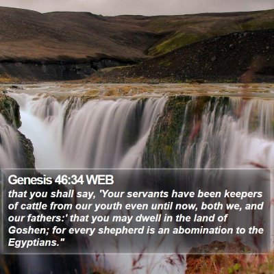 Genesis 46:34 WEB Bible Verse Image