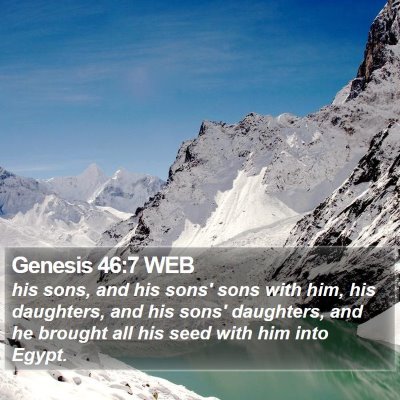 Genesis 46:7 WEB Bible Verse Image