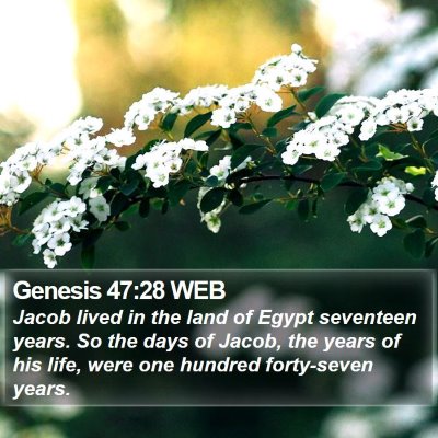 Genesis 47:28 WEB Bible Verse Image