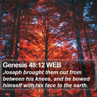 Genesis 48:12 WEB Bible Verse Image