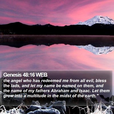 Genesis 48:16 WEB Bible Verse Image