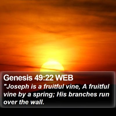 Genesis 49:22 WEB Bible Verse Image