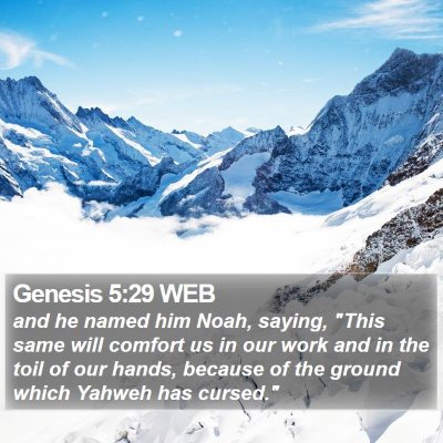 Genesis 5:29 WEB Bible Verse Image