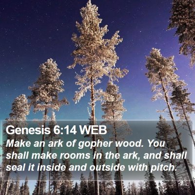 Genesis 6:14 WEB Bible Verse Image