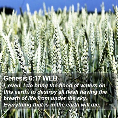 Genesis 6:17 WEB Bible Verse Image
