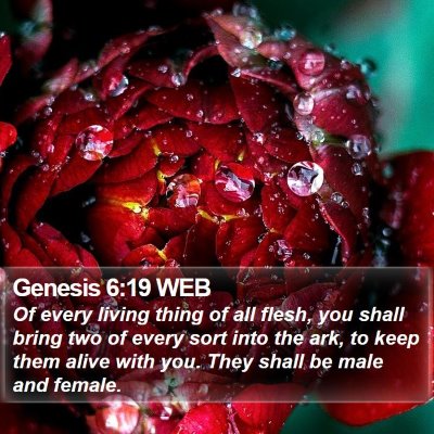 Genesis 6:19 WEB Bible Verse Image