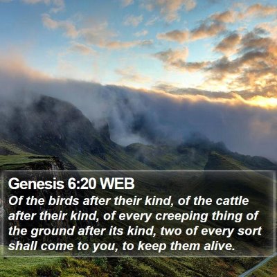 Genesis 6:20 WEB Bible Verse Image