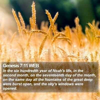 Genesis 7:11 WEB Bible Verse Image