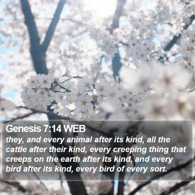 Genesis 7:14 WEB Bible Verse Image
