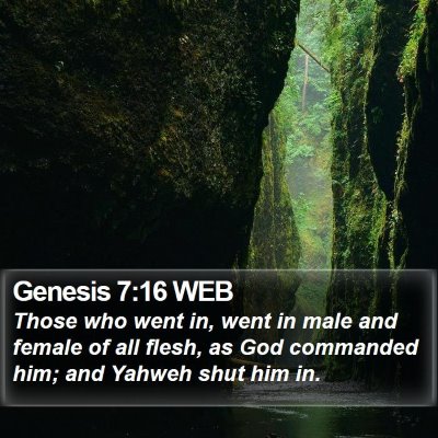 Genesis 7:16 WEB Bible Verse Image