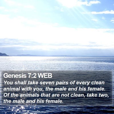 Genesis 7:2 WEB Bible Verse Image