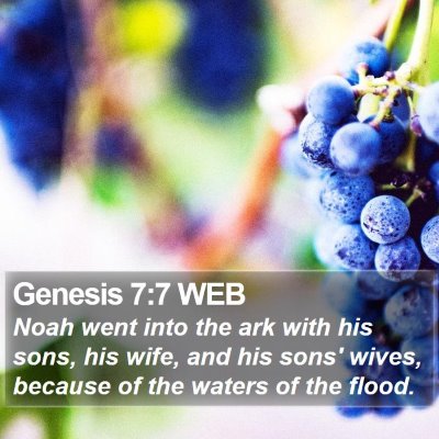 Genesis 7:7 WEB Bible Verse Image