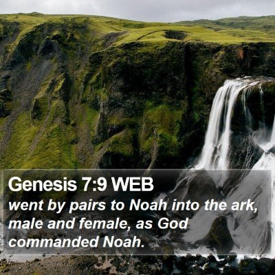 Genesis 7:9 WEB Bible Verse Image