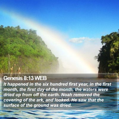 Genesis 8:13 WEB Bible Verse Image