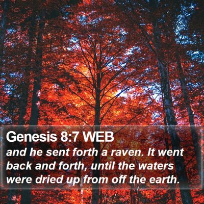 Genesis 8:7 WEB Bible Verse Image