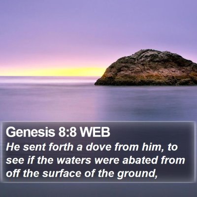 Genesis 8:8 WEB Bible Verse Image