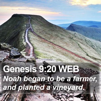 Genesis 9:20 WEB Bible Verse Image