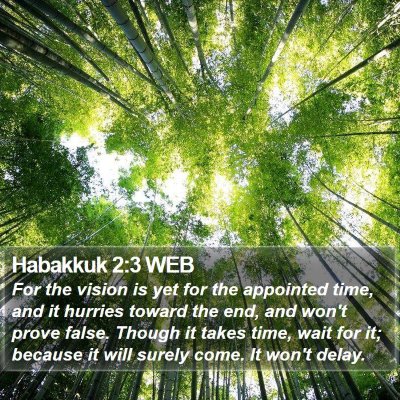 Habakkuk 2:3 WEB Bible Verse Image