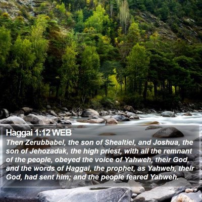 Haggai 1:12 WEB Bible Verse Image