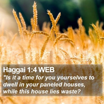 Haggai 1:4 WEB Bible Verse Image