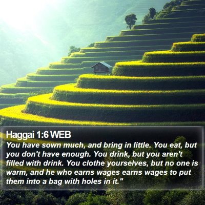 Haggai 1:6 WEB Bible Verse Image