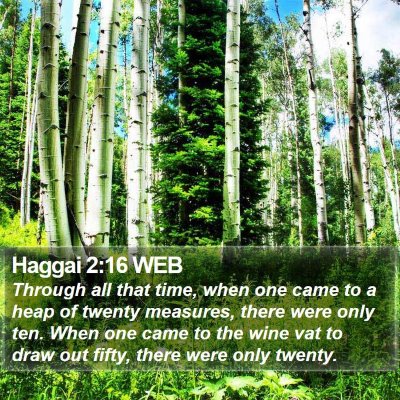 Haggai 2:16 WEB Bible Verse Image