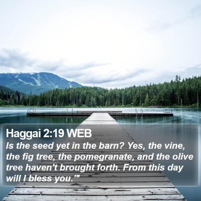 Haggai 2:19 WEB Bible Verse Image