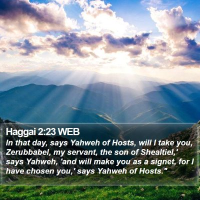 Haggai 2:23 WEB Bible Verse Image