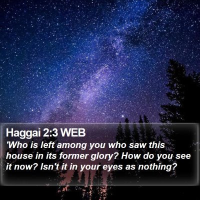 Haggai 2:3 WEB Bible Verse Image