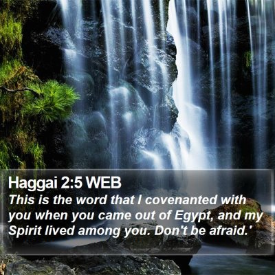 Haggai 2:5 WEB Bible Verse Image