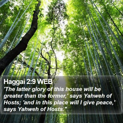 Haggai 2:9 WEB Bible Verse Image