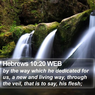 Hebrews 10:20 WEB Bible Verse Image