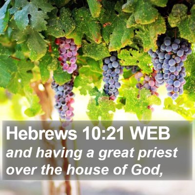 Hebrews 10:21 WEB Bible Verse Image