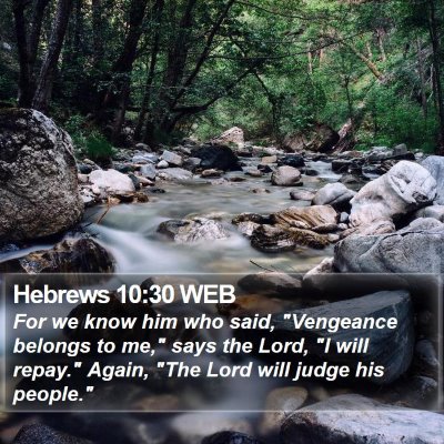 Hebrews 10:30 WEB Bible Verse Image