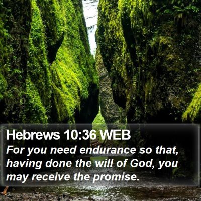 Hebrews 10:36 WEB Bible Verse Image